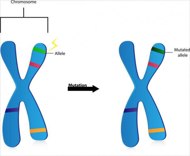 A mutation